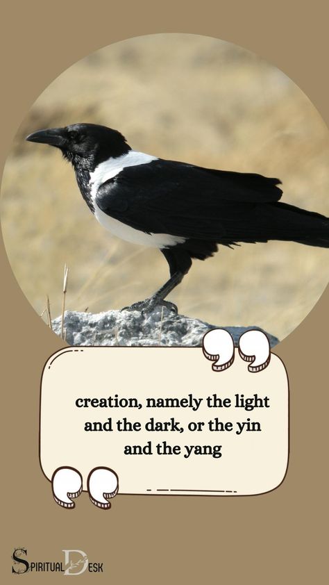 The black and white crow is seen as a spirit animal that signifies the dual aspects of creation, namely the light and the dark, or the yin and the yang. it also symbolizes a balance between the shadow and the light self, and the continuous transformation between the two. #seen #transformation #self #shadowplay #shadowsense #balanced #balancing Crow Spiritual Meaning, Crow Meaning, Crow Totem, Bird Meaning, Shadow Sense, White Crow, Black And White Birds, Black Crow, Shadow Play