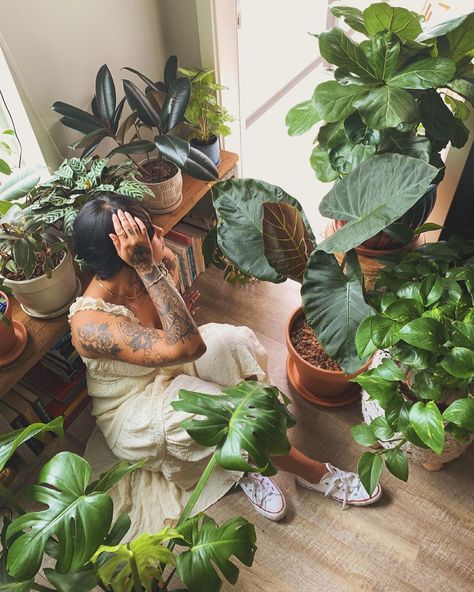 Plant Life Aesthetic, Plant Mom Aesthetic Room, Plant Aesthetic Pictures, Plant Lady Aesthetic, Indoor Plants Aesthetic, House Plants Decor Living Room, Wicca Healing, Plant Decor Living Room, Plant Mom Aesthetic