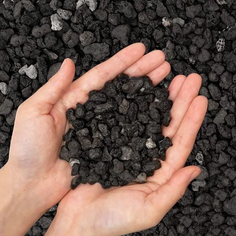 horticultural charcoal Landscaping Pebbles, Cactus Bonsai, Bonsai Soil, Plant Help, Rock And Pebbles, Vase Fillers, Lava Rock, Landscaping With Rocks, Garden Soil