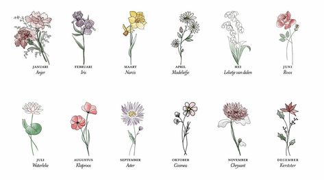 Geboortebloemen per maand Birth Flower September, Watercolor Flower Tattoo, Mommy Daughter Tattoos, Tattoo Kids, Watercolor Tattoo Flower, Flower Tattoo Arm, Birth Flower Tattoos, Dainty Tattoos, Tattoos For Daughters