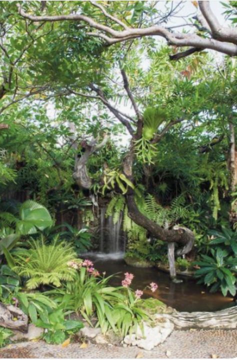 Small Tropical Gardens, Kolam Koi, Tropical Water, Taman Air, Tropical Garden Design, Tropical Backyard, Pond Landscaping, Backyard Water Feature, Water Fall