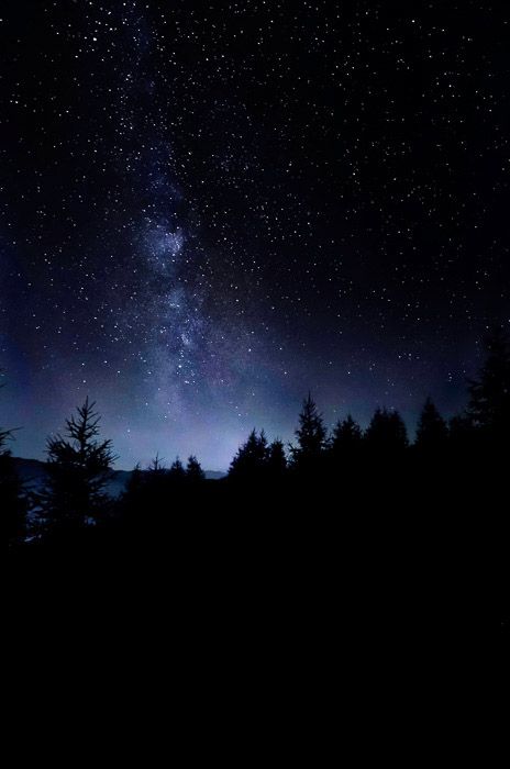 Atmospheric shot of a star filled sky over a forest at night Starry Night Background, Night Sky Photography, Night Sky Wallpaper, Night Background, Sky Wallpaper, The Night Sky, Screen Wallpaper, Milky Way, Sky Photography