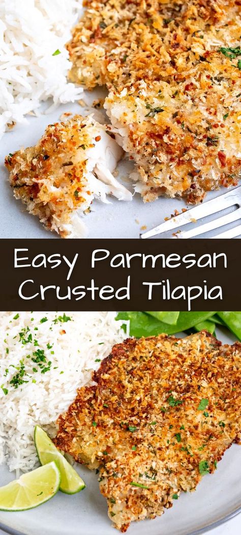 Tilapia Recipes Easy, Parmesan Crusted Tilapia, Crusted Tilapia, Fish Dinner Recipes, Tilapia Recipes, Fish Recipes Healthy, Parmesan Crusted, Fish Dinner, Baked Fish