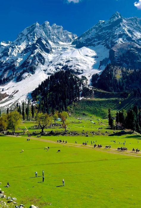 Sonmarg #Kashmir India 🇮🇳 Sonmarg Kashmir, Mountains In India, India Landscape, Kashmir Trip, Beautiful Beach Scenes, Kashmir India, Thick Blanket, Travel Pictures Poses, Destination Photography