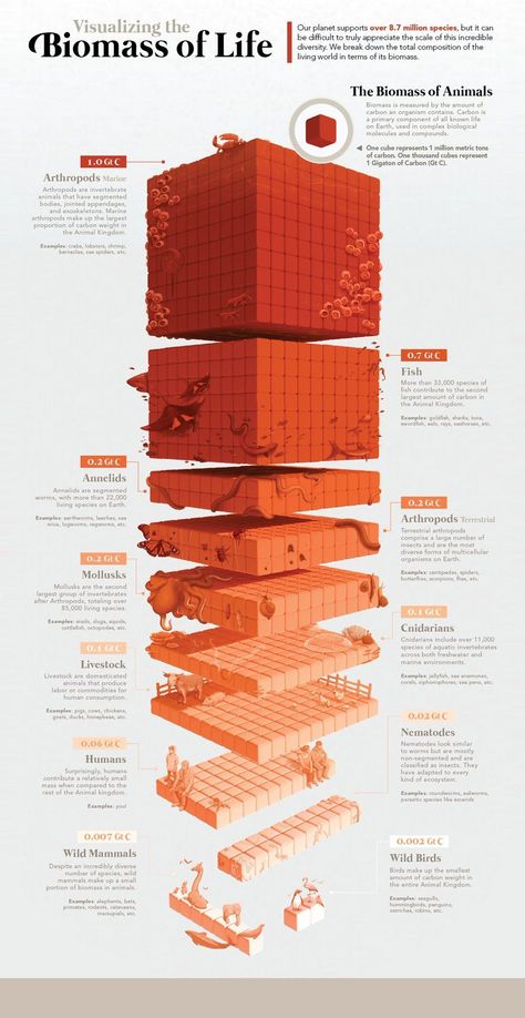 Data Vizualisation Art, Cool Infographics, Aesthetic Infographic Design, 3d Data Visualization, 3d Infographic, Data Vizualisation, Data Visualization Infographic, Information Visualization, Illustration Animals