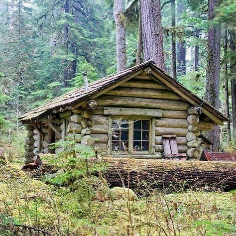 Log Cabins For Sale, Cozy Cabins, Old Cabins, Country Cabin, Old Cabin, Little Cabin In The Woods, Small Log Cabin, Rustic Cabins, Hunting Cabin