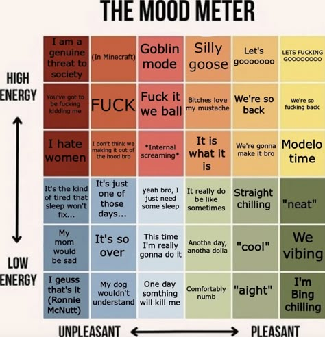 Mood Meter, Mood Chart, Alignment Charts, Vie Motivation, Know Your Meme, Mental And Emotional Health, What’s Going On, Funny Me, Text Posts