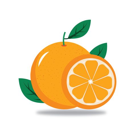 Orange Illustration, Illustration Fruit, Fruits Drawing, Mango Fruit, Make Your Logo, Fruit Illustration, Editing Inspiration, Orange Fruit, Graphics Designer