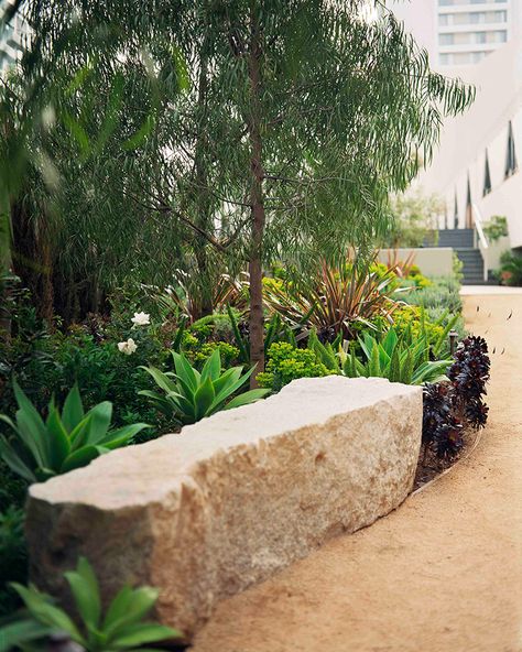 Dry Garden, Stone Bench, Walled Garden, Native Garden, Garden Seating, Landscaping With Rocks, Covent Garden, Garden Bench, Back Garden