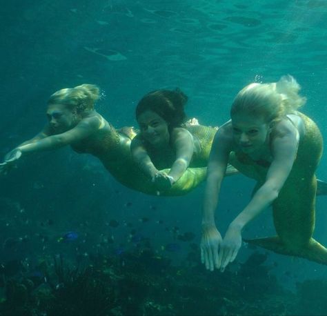 No Ordinary Girl, Realistic Mermaid, Mermaid Stories, H2o Mermaids, Miguel Diaz, Mako Mermaids, Real Mermaids, Mermaid Aesthetic, Mermaid Tale