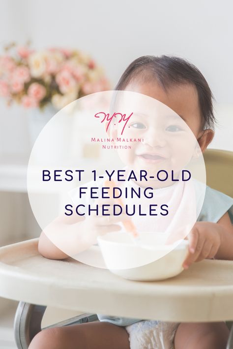 Learn more from a pediatric dietitian about the best 1-year-old feeding schedules that help prevent picky eating and encourage healthy eating habits. 11 Month Old Eating Schedule, Feeding Schedule 1 Year, One Year Old Eating Schedule, What To Feed My One Year Old, One Year Old Food Schedule, One Year Old Feeding Schedule, One Year Old Foods, Baby Food Schedule, Pediatric Nutrition