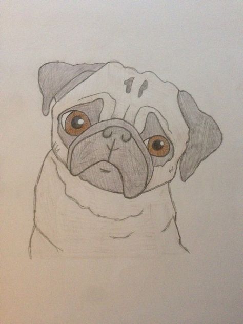 I love my drawing of a pug Pug Doodle Easy, Easy Pug Painting, Pet Sketch Drawings, Cute Pug Drawing Easy, Pug Drawing Sketches, Puggle Drawing, Pet Drawings Easy, How To Draw A Pug, Pug Cartoon Drawing