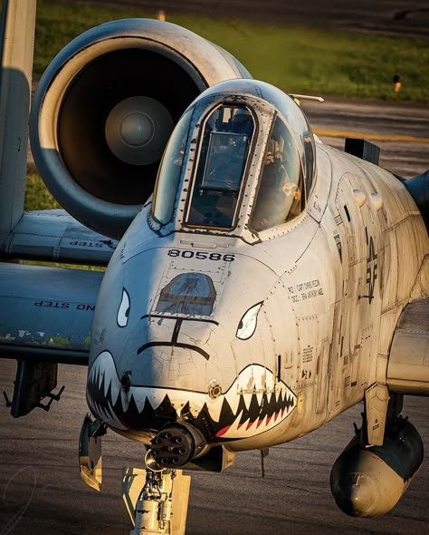 Warthog A-10, F 35 Wallpaper, A 10 Warthog Wallpapers, Us Navy Women, 458 Socom, Air Force Wallpaper, Marsoc Raiders, A10 Warthog, A 10 Warthog