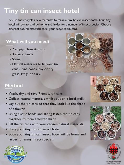 Brecon Beacons National Park Authority on Twitter: "Tiny tin can insect hotel Re-use and re-cycle a few materials to make a tiny tin can insect hotel. Your tiny hotel will attract and be home and larder for a number of insect species. Choose different natural materials to fill your recycled tin cans. #WalesOutdoorLearningWeek https://t.co/mM5DkzDKJi" / Twitter Tin Can Bug Hotel, Diy Insect Hotel, Bug Hotel Ideas, Wildlife Projects, Outdoor Classroom Activities, Bee Hotels, Recycled Tin Cans, Insect Species, Bee Hotel