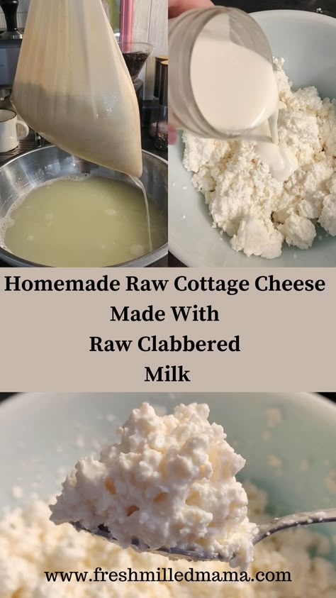 Homemade Raw Cottage Cheese How To Make Raw Cheese, Raw Cottage Cheese, Clabbered Milk Recipes, Diy Cottage Cheese, Cottage Cheese Homemade, Clabbered Milk, Cottage Cheese Recipe, Homemade Cottage Cheese, Raw Dairy