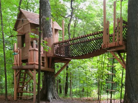 50 Kids Treehouse Designs: Some of these are so cool, they would even be fun for adults Tree House In The Woods, Diy Tree House, Cottage Pool, Tree House Ideas, Treehouse Ideas, Pool Plants, Building A Treehouse, Playhouse Plans, Tree House Plans