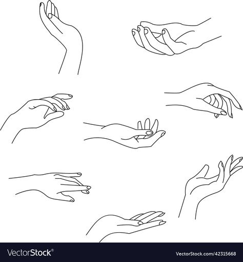 Women Hand Illustration, Drawing Of A Hand Holding Something, Female Hands Tattoo, Minimalist Hand Drawing, Outline Hand Tattoo, Nails Illustration Design, Hand Illustration Drawing, Hands Illustration Simple, Nail Illustration Logo