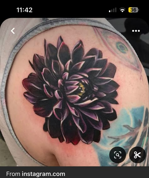 Dahlia Tattoos, Dahlia Flower Tattoos, Flower Cover Up Tattoos, Owl Tattoo Ideas, Black Flowers Tattoo, Dahlia Tattoo, Wrap Around Wrist Tattoos, Tattoos 2023, Purple Tattoos