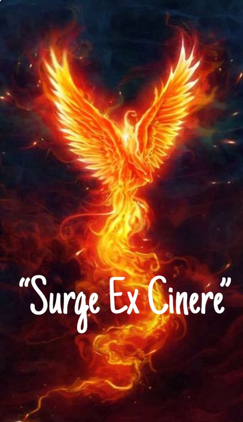 Latin for “ Rise from the Ashes” I Will Rise Quotes Strength, Like A Phoenix She Will Rise, Rise Of The Phoenix Quotes, Fenix Quote, Phoenix Quotes Rising, Phoenix Woman Rising, Rise Again Quotes, Phoenix Quotes Woman Strength, Rise Like A Phoenix Quotes