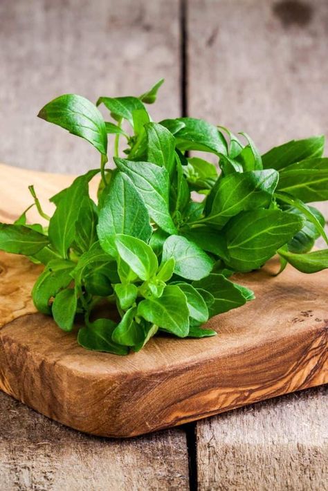 Essential Oils For Inflammation, Preserving Basil, Growing Basil, Household Pests, Benefits Of Gardening, Basil Plant, Healthy Herbs, Thai Basil, Sweet Basil