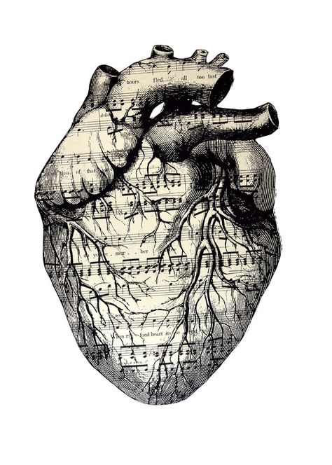 The Human Heart, Art Musical, Art Tumblr, Anatomical Heart, Wow Art, Musical Notes, Human Heart, Heart Art, Pics Art