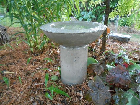 DIY Concrete Birdbath For Less Than Six Dollars! | Hometalk Diy Concrete Birdbath, Cement Bird Bath, Bird Bath Diy, Diy Pool Ideas, Concrete Yard, Concrete Creations, Bird Bath Bowl, Concrete Bird Bath, Bath Diy