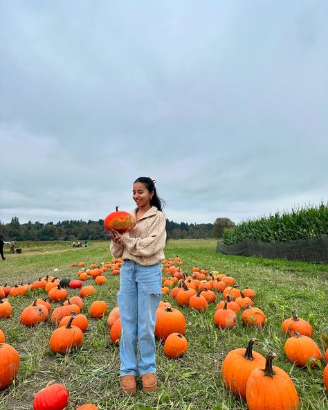 pumpkin patching & apple picking outfit inspo 🍂🎃🍎 fall outfit inspo, fall aesthetic, fall activities, fall ootd, pinterest fall, pinterest outfits, pinterest style, outfit inspo, autumn outfits, fall fashion, cozy outfits, sweaters, ugg shoes #falloutfitinspo #fallfashiontrends #falloutfitideas #fallfashion2024 #pumpkinpatchoutfit #applepicking #fallaesthetic #sweaterseason Apple Picking Outfit, Ootd Pinterest, Fall Pinterest, Pumpkin Patch Outfit, Fall Ootd, Pinterest Style, Cozy Outfits, Ootd Fall, Sweater Season