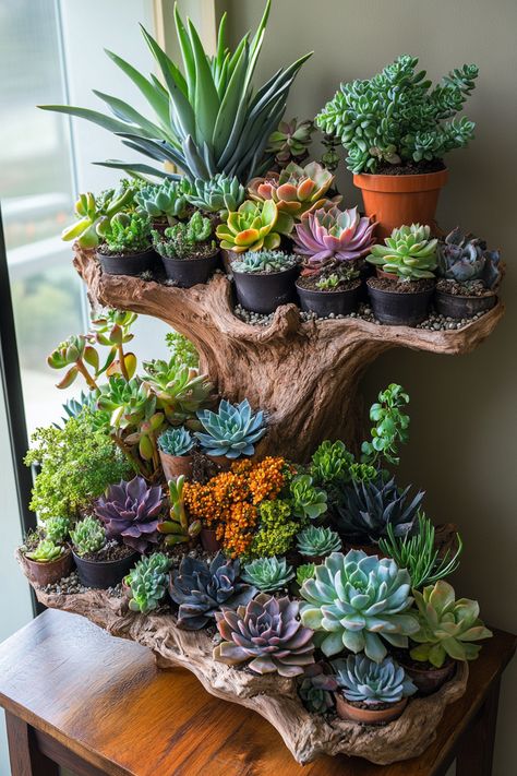 Learn how to create an indoor succulent garden with easy tips for vibrant growth! #SucculentGarden #PlantCare Easy Succulent Arrangements, Cactus Arrangements Ideas, Succulents Aesthetic, Indoor Succulent Garden, Cactus Arrangement, Blooming Succulents, Succulent Garden Indoor, Succulent Garden Design, Succulent Garden Diy