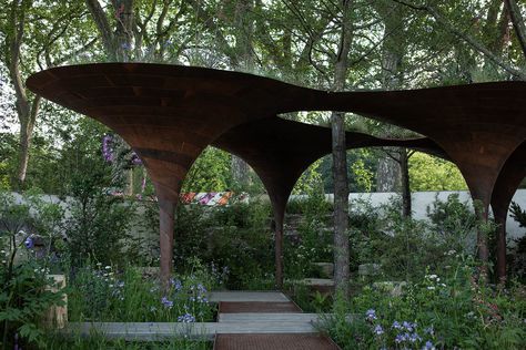 Tom Massey's Water Aid Garden at the 2024 Chelsea Flower Show Simple Flower Bed Ideas, Eco School, Rain Harvesting, Landscape House, Studio Weave, Landscape Planning, Landscape Details, Monty Don, Residential Landscaping