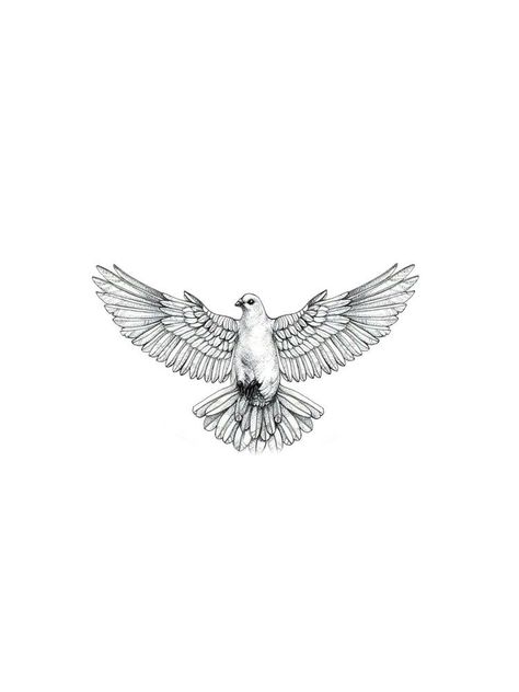 Dove Tattoo On Neck Men, Men’s Biblical Tattoos, Dove Tattoo For Men, Small Dove Tattoo Men, Small Eagle Tattoo Men, Dove Back Tattoo, Gangsta Tattoos Men Design, Dove Tattoo Design For Men, Dove Tattoo Men