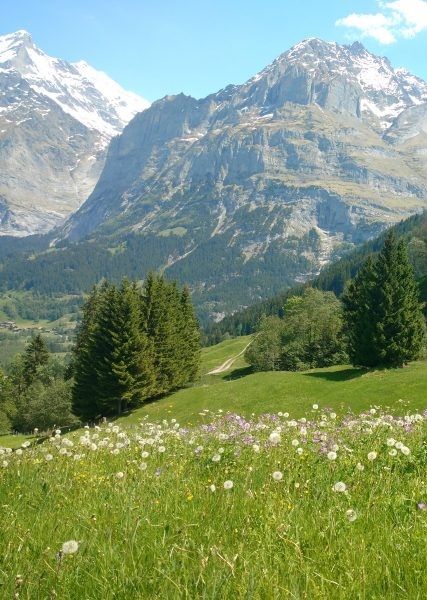 Swiss Alps in the summer can offer you hundreds of attractions: from hiking to amazing infinity pools (these are great in winter too), from paragliding to cable cars. Switzerland Photography, Infinity Pools, Mountain Huts, Mountain Life, Peaceful Places, Cable Cars, Swiss Alps, Green Juice, Nature Aesthetic