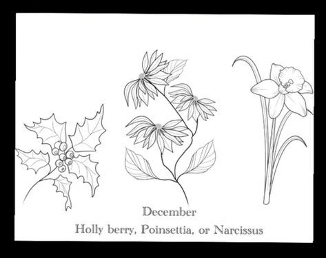 Narciccus Flowers Tattoo, Narcissus And Holly Tattoo, Holly Flower, Narcissus Flower, Birth Flower Tattoos, Birth Flower, Birth Flowers, Lotus Flower Tattoo, Flower Tattoos