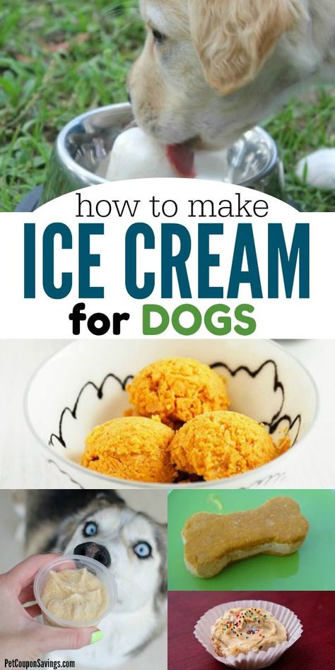 Ice Cream Dog Treats, Healthy Dog Ice Cream Recipe, Diy Dog Ice Cream Recipes, Pup Ice Cream, Diy Dog Ice Cream, Puppy Ice Cream Recipes, Doggie Ice Cream Recipes, Dog Treats For Bad Breath, Homemade Dog Ice Cream