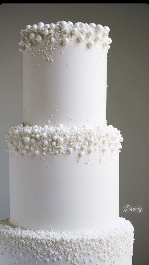 Modern Glam Wedding Cake, Unique Wedding Style, Bridal Cakes Ideas Wedding Trends, Classy Wedding Ideas Decor, 3 Tier Pearl Wedding Cake, White Cake For Wedding, Wedding Cake 2024 Trends, Wedding Cake Ideas Elegant Beautiful, Classy Italian Wedding