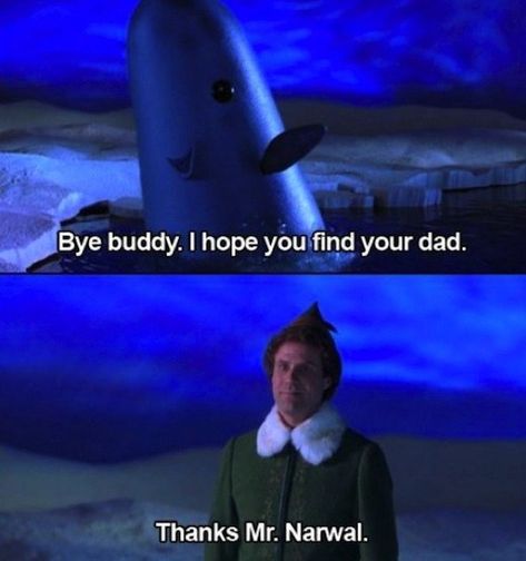 When Mr. Narwal was an encouraging friend. | 26 Hilarious "Elf" Quotes That'll Make You Laugh Every Time Will Farell, V Smile, Buddy The Elf, Great Movies, My Favorite Part, Christmas Movies, Makes Me Laugh, I Smile, Bones Funny