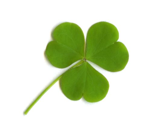 Why do we put up pictures of three-leaved clovers, or small red-haired men in celebration of Saint Patrick's Day?  Find out why in this guide to the folklore, traditions, and symbolism of Saint Paddy's Day. Bible Object Lessons, Abraham Hicks Videos, Esther Hicks, Object Lessons, Paddys Day, Lucky Clover, Happy St Patricks Day, Luck Of The Irish, Four Leaves