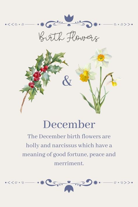 Holly Flower Aesthetic, Holly Meaning, Fem Tattoos, Bloomcore Aesthetic, Flowers Meanings, Holly Flower, December Days, December Birth Flower, Baby Name Tattoos