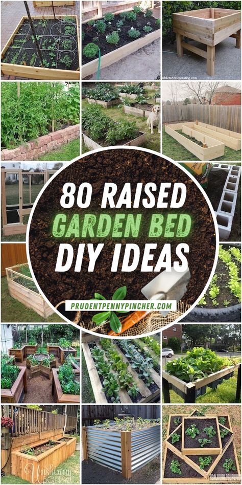 Inexpensive Raised Garden Beds, Diy Raised Garden Beds, Cheap Raised Garden Beds, Garden Bed Layout, Raised Garden Bed Plans, Cedar Raised Garden Beds, Raised Vegetable Gardens, Garden Boxes Raised, Vegetable Garden Raised Beds