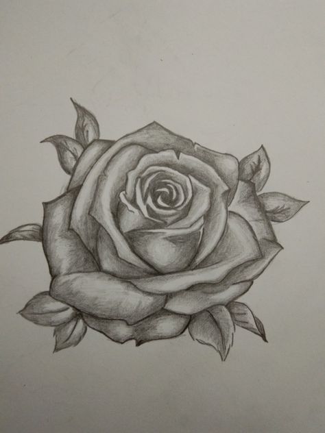 Big Rose Drawing, Stairway To Heaven Tattoo, Tiny Drawings, Sketch Rose, Heaven Tattoo, Rose Tattoo Stencil, Easy Hand Drawings, Colorful Skull Art, Rose Drawing Tattoo