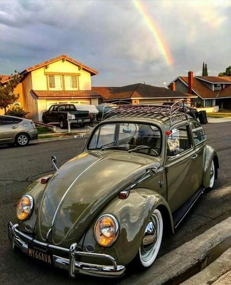 Volkswagen Beetle Vintage, Van Vw, Sandakan, Vw Sedan, Vw Karmann Ghia, Vw Classic, Classic Volkswagen, Volkswagen Bug, Beetle Car