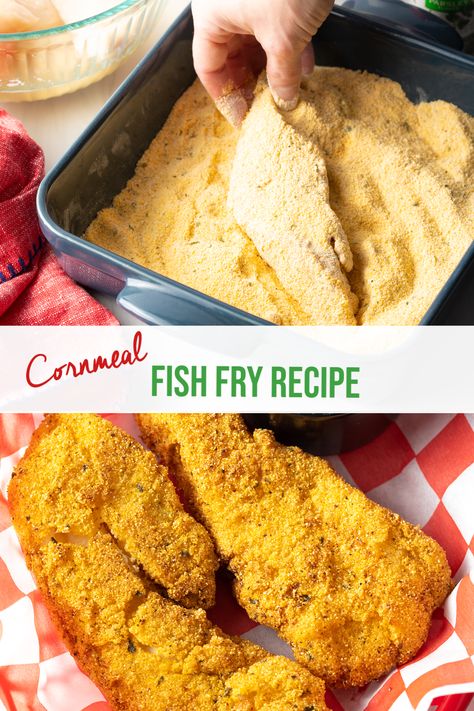 Frying Fish With Corn Meal, Frying Fish Recipes, Fish Fry Seasoning Recipe, Homemade Fish Fry, Whiting Fish Recipes, Southern Fried Fish, Fried Cod Fish Recipes, Fish Seasoning Recipe, Fish Fry Seasoning