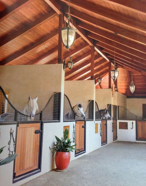 Horse Stables Design, Luxury Horse Barns, Dream Barn Stables, Horse Farm Ideas, Diy Horse Barn, Horse Barn Ideas Stables, Horse Barn Designs, Dream Horse Barns, Dream Stables