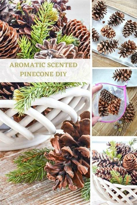 Fill your home with the cozy scents of the holiday season! Scent pinecones with essential oils. This is such an easy peasy diy. Even if you are not crafty you can do this! #christmasdiy #pinecones #christmascenterpiece #scentedpinecones #homedecordiy #easyhomediy #christmasproject #holidaydiy #stonegableblog #stonegable Senior Craft Ideas, Cozy Scents, Pinecone Decor, Diy Xmas Ornaments, Scented Pinecones, Stone Gable, Merry Christmas Decor, Christmas Presents For Kids, Christmas Pine Cones