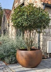 Extra Large Garden Planters, Tree planters, Containers & Extra Large Pots - IOTA UK Large Potted Plants Outdoor Patio, Front Courtyard Design, Large Flower Pots Outdoor, Large Planters Outdoor, Large Patio Planters, Large Tree Planters, Concrete Planters Garden, Pots With Flowers, Oversized Planters