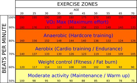 Heart Rate Chart, Heart Rate Training, Benefits Of Cardio, Target Heart Rate, Heart Rate Zones, Anaerobic Exercise, Running For Beginners, Workout Chart, Weight Control