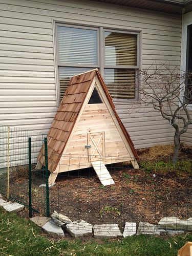 How To Build an A-Frame Coop (or Duck House) - DIYdiva Duck House Plans, A Frame Chicken Coop, Duck Houses, Duck Pens, Ducks And Chickens, Backyard Ducks, Duck Coop, Duck Stuff, Raising Ducks