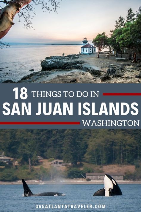 17+ Sensational Things To Do in San Juan Islands in Washington State 20 San Juan Islands Washington, Washington State Hikes, Washington Vacation, Washington Trip, Things To Do In Washington, Pacific Northwest Travel, Washington State Travel, Visit Seattle, Washington Travel