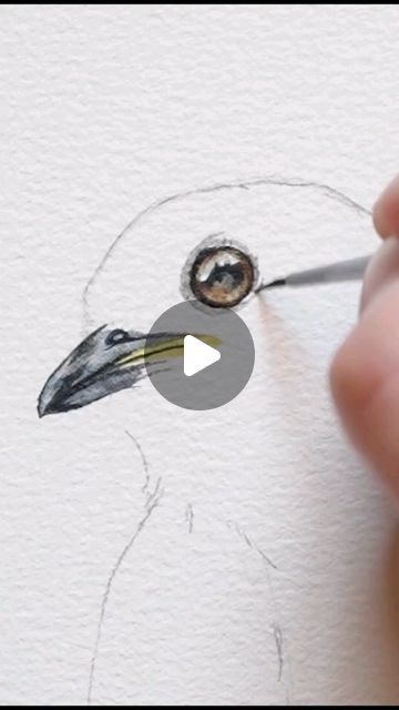 Easy Watercolor Birds Painting Tutorials, Eastern Bluebird Drawing, Eastern Bluebird Painting, Birds Watercolor Paintings, Watercolor Birds Easy, Watercolor Animals Simple, Watercolor Art Birds, Bird Art Drawing, Watercolor Birds Tutorial