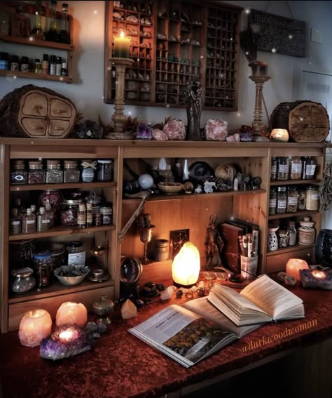 Vintage Plants, Apothecary Decor, Aesthetic Decor Ideas, Witchy Room, Tattoo Garden, Witch Room, Crystal Room, Decorative Wallpaper, Witch Cottage