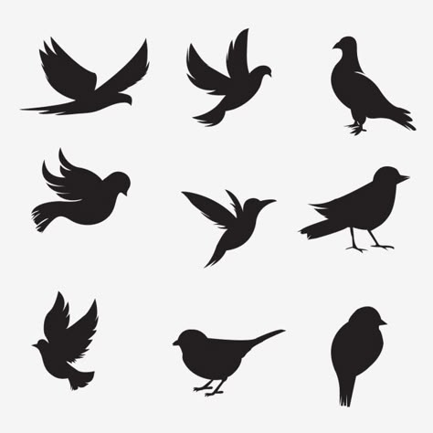 Bird Silhouette Art, Simple Wall Paintings, Silhouette Sport, Vogel Silhouette, Shadow Illustration, Shadow Painting, Shadow Drawing, Silhouette Paper, Silhouette Tattoos